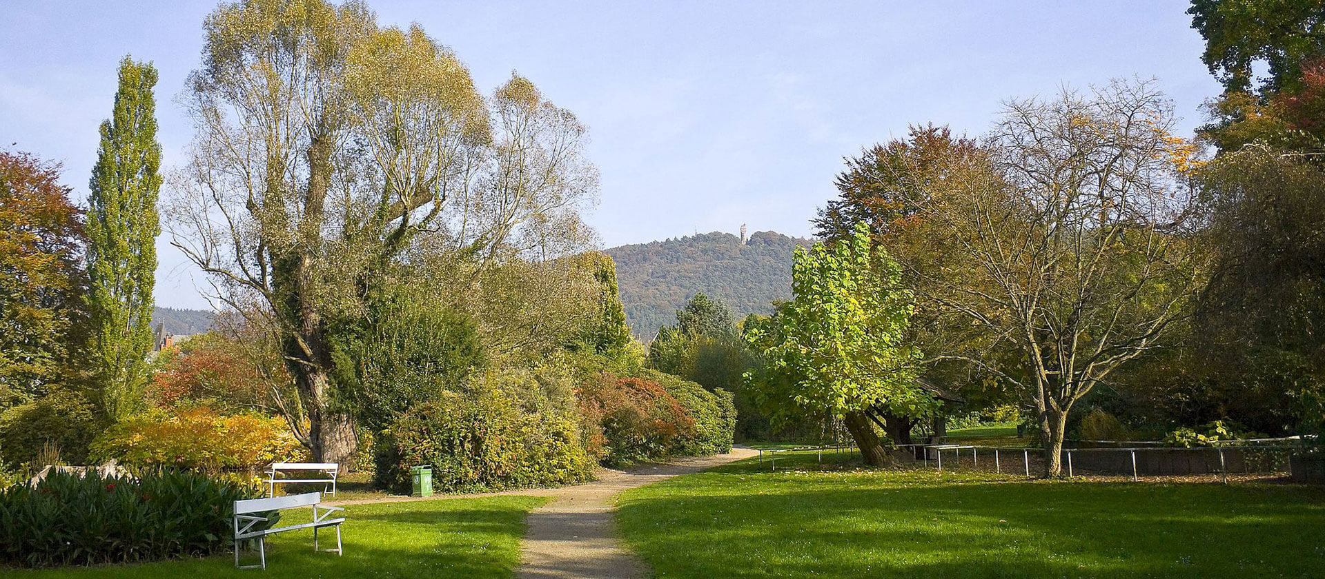 Alter Botanischer Garten Marburg, Credit Willow via Wikimedia